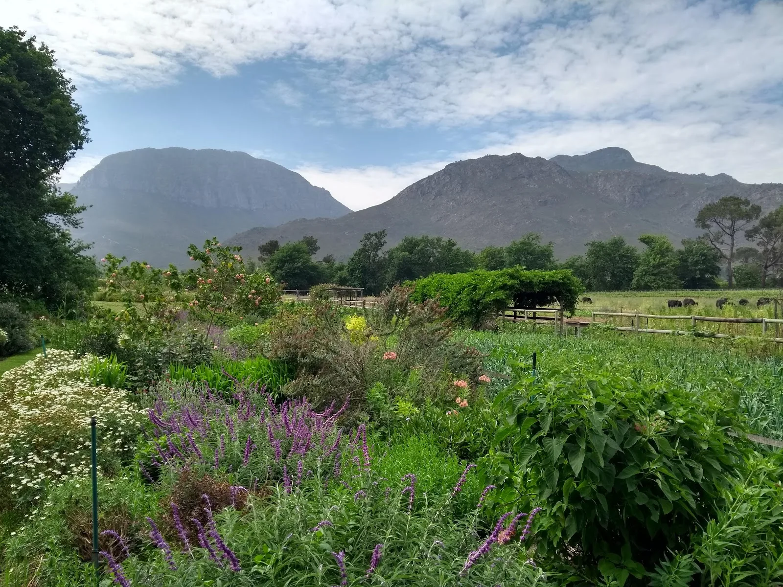 Coffeebeans Routes